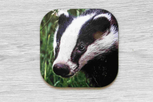Badger coaster