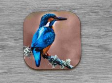 Kingfisher coaster