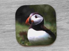 Puffin coaster