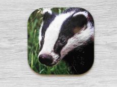 Badger coaster