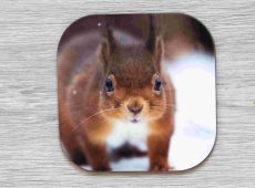 Red in Winter coaster