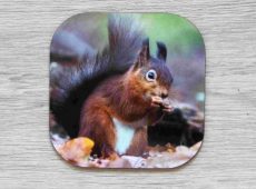 Red on Forest Floor coaster