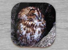 Tawny Owl coaster