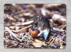 Wood Mouse Table Mat