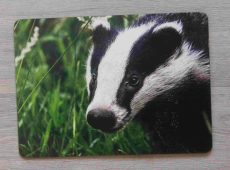 Badger Table Mat