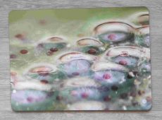 Frogspawn Table Mat